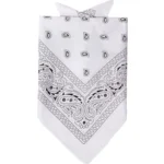 Zakdoek - Bandana - Fantasie - Wit - Met zwarte opdruk - 52x55cm