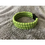 Hondenhalsband Trilobite Green 1