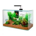 Zolux Aquarium Clear Kit Zwart 50 x 25 x 38 cm