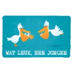 Leuke kaartjes: Wenskaart: Wat leuk een jongen LK131