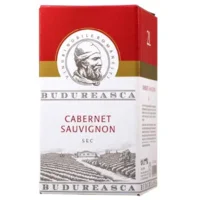 Bag-in-Box (BIB) 2l - Cabernet Sauvignon