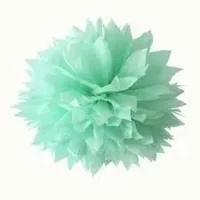 Mintgroene DIY pompons - set van drie