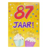 Kaart - That funny age - 87 Jaar - AT1047-C