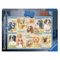 Puzzel - Trouwe honden - 1000st.