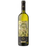 Regno Recas - Sauvignon Blanc