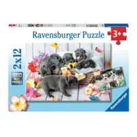 Puzzel - Schattige haarbolletjes - 2x12st.