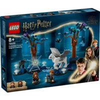 LEGO® 76432 Harry Potter™ Verboden Bos: magische wezens