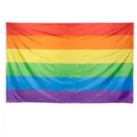 Polyester vlag Regenboog (200 x 300 cm) - Grote regenboog polyester vlag