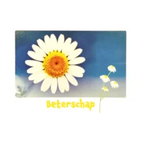 Kaart - Eco Cards - Beterschap - ECLT23-A