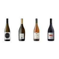  Proefpakket Orange wines