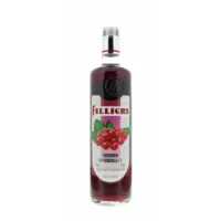 FILLIERS FRUITJENEVER BESSEN 70CL/20%