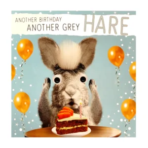 Kaart - Fun - Another birthday, another grey hare - C2265A