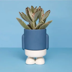 Balvi Mini Bloempot Mr Standy Blauw Keramiek