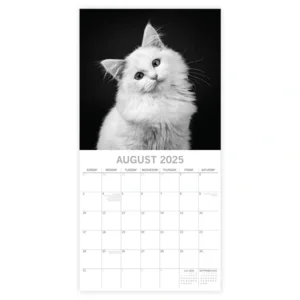 Kalender - 2025 - Cat portraits - 30x30cm