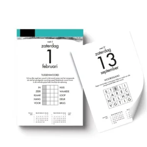 Scheurkalender - 2025 - Braintrainers - 13x18cm