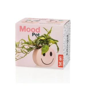 Bitten Design Mood Pot Smile Pennenbakje