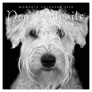 Kalender - 2025 - Dog portraits - 30x30cm