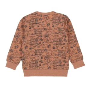 Dirkje Jongens Sweater Pirate Rusty Brown