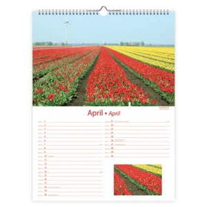 Maand kalender - 2025 - Nederland - 33x44cm