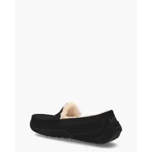 UGG Ascot Slipper Black Herenpantoffels