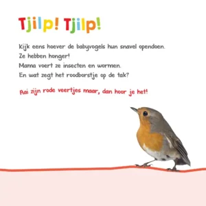 Boek - Welk dier hoor ik hier - In de natuur - Met geluid - 1+