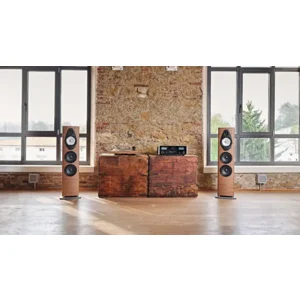 Sonus Faber Sonetto V