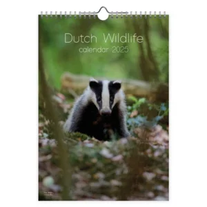 Maand kalender - 2025 - Dutch wildlife - 23,5x33,5cm