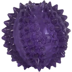 JW Puppy - Bristl-ee Cactus Ball