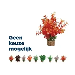 Zolux ornament plastic plant op stenen vrolijk assorti 20x10x10 cm