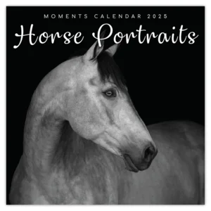 Kalender - 2025 - Horse portraits - 30x30cm