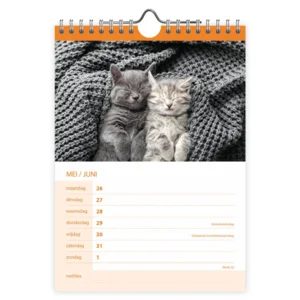 Kalender - 2025 - Katten - 16,5x23cm