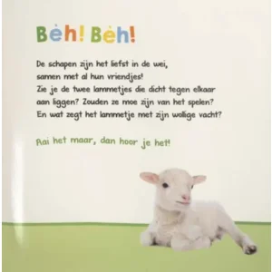 Boek - Welk dier hoor ik hier? - Boerderijdieren - Met geluid