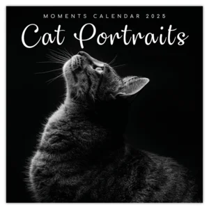 Kalender - 2025 - Cat portraits - 30x30cm