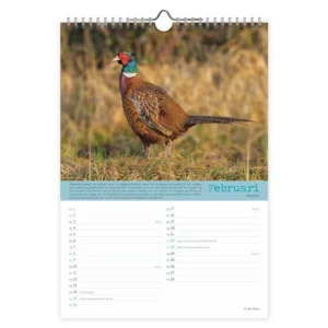 Maand kalender - 2025 - Vogels - 23,5x33,5cm