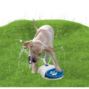 CoolPets Splash Water Fountain