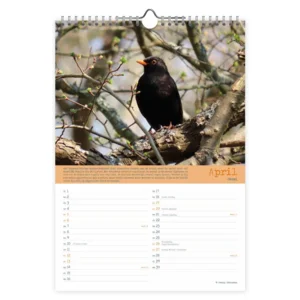 Maand kalender - 2025 - Vogels - 23,5x33,5cm