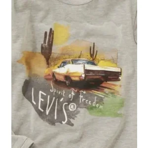 longsleeve American Car