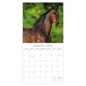 Kalender - 2025 - Horse portraits - 30x30cm