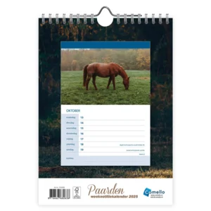 Kalender - 2025 - Paarden - 16,5x23cm