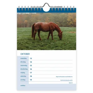 Kalender - 2025 - Paarden - 16,5x23cm