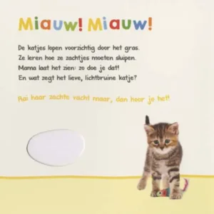 Boek - Welk dier hoor ik hier - Lievelingsdieren - Met geluid - 1+