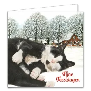 Kaarten - Kerst - Franciens katten - In de sneeuw & twee kittens - 10st.