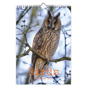 Maand kalender - 2025 - Vogels - 23,5x33,5cm