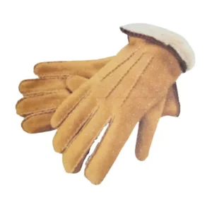 Dames en heren - Handschoenen met schapenwol - beige - maat 7 tot 10,5 7.5