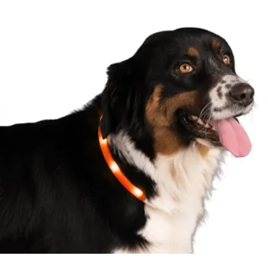 Nightwalk Safety Collar Oranje