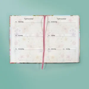 Life planner - 2025 - Belle ville - 04-AGE.BV.2512-1