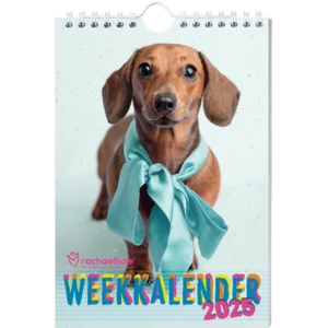 Week kalender - 2025 - Rachael Hale - Honden