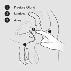 Aneros Progasm Prostaat Stimulator Ice