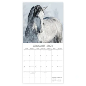 Kalender - 2025 - Horse portraits - 30x30cm