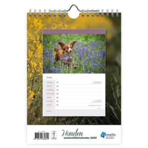 Kalender - 2025 - Honden - 16,5x23cm